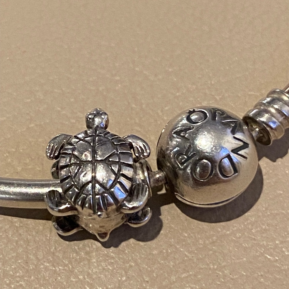 Sterling Silver Turtle Charm